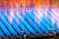 Gleadmoss gas fired boilers